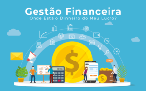 Gestao Financeira Onde Esta O Dinheiro Do Meu Lucro Blog Liz Assessoria Financeira - Contabilidade digital em São Paulo – SP